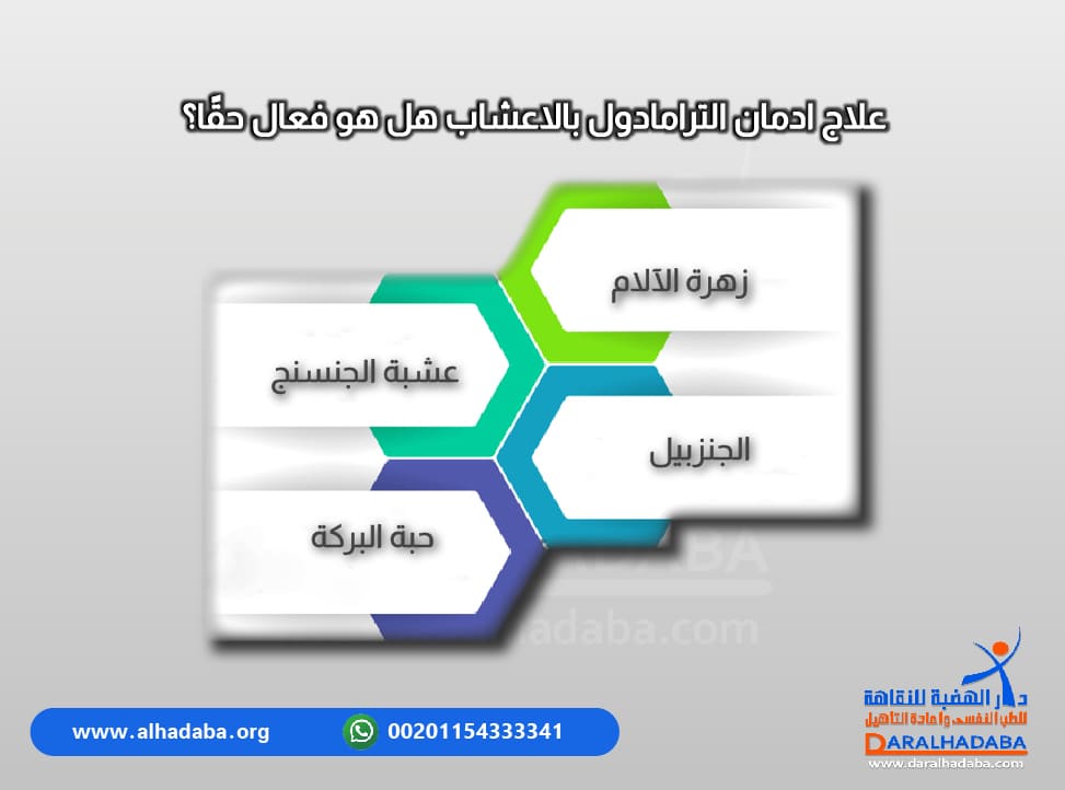 مجموعة من الأعشاب مكتوبة توضح أهميتها في علاج ادمان الترامادول