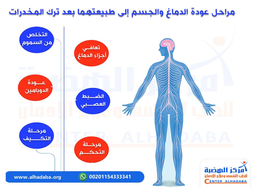 مراحل عودة الدماغ والجسم إلى طبيعتهما بعد ترك المخدرات