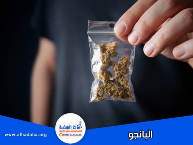 البانجو شكلة وتاثيره والفرق بينه وبين الحشيش