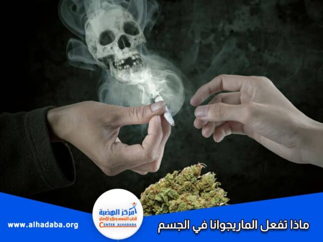 ماذا تفعل الماريجوانا في الجسم